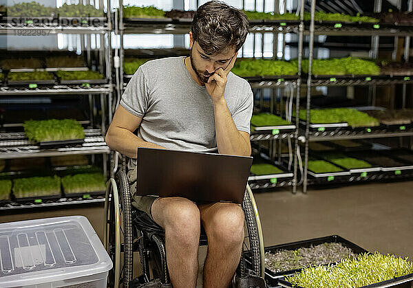 Junger Mann im Rollstuhl arbeitet in seinem Microgreens-Geschäft an einem Laptop; Edmonton  Alberta  Kanada