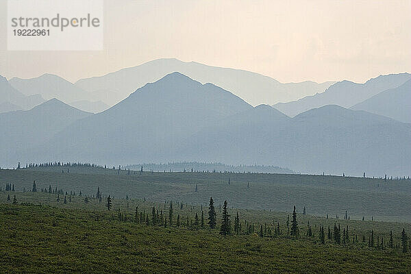 Fernsicht auf Mt. McKinley im Denali National Park and Preserve  Alaska  USA; Alaska  Vereinigte Staaten von Amerika