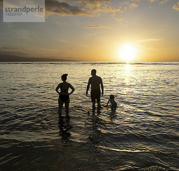 Blick von hinten auf die Silhouette einer Familie  die in der Dämmerung im Wasser steht und die Natur genießt; Baby Beach  Lahaina  Maui  Hawaii  Vereinigte Staaten von Amerika