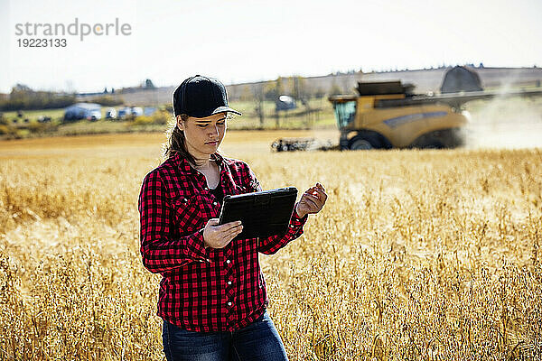 Eine junge Bäuerin steht zur Erntezeit auf einem Feld und inspiziert das Getreide mithilfe modernster landwirtschaftlicher Softwaretechnologien auf einem Pad  während im Hintergrund ein Mähdrescher arbeitet. Alcomdale  Alberta  Kanada