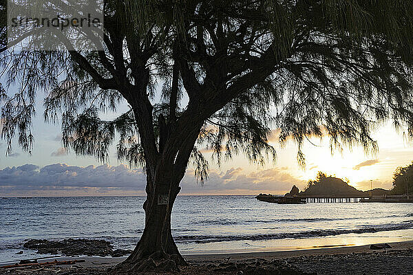 Silhouette eines Baumes am Strand und eines Kais am Ufer im Hintergrund in der Dämmerung  auf der Straße nach Hana  malerische Route; Maui  Hawaii  Vereinigte Staaten von Amerika