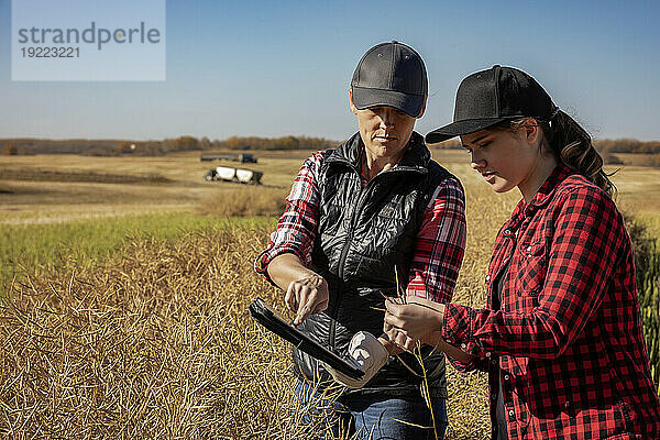 Eine Bäuerin steht auf den Feldern und bringt ihrem Lehrling moderne Anbautechniken für Rapsanbau unter Einsatz von drahtlosen Technologien und landwirtschaftlicher Software bei. Alcomdale  Alberta  Kanada