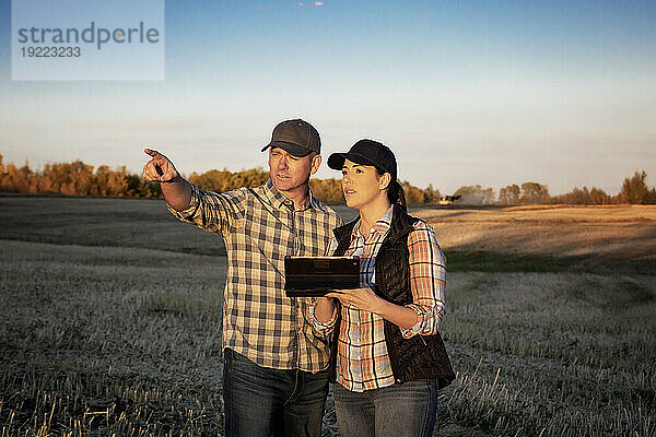 Ein Mann und eine Frau stehen in der Dämmerung auf den Feldern und nutzen ein tragbares drahtloses Gerät  um den Ertrag während der Rapsernte im Herbst zu verwalten und zu überwachen. Alcomdale  Alberta  Kanada