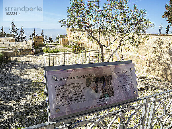 Olivenbaum und Schild zum Gedenken an den Besuch von Papst Johannes Paul II. am 20. März 2000 auf dem Gipfel des Berges Nebo während seiner Pilgerreise ins Heilige Land  Jordanien  Naher Osten