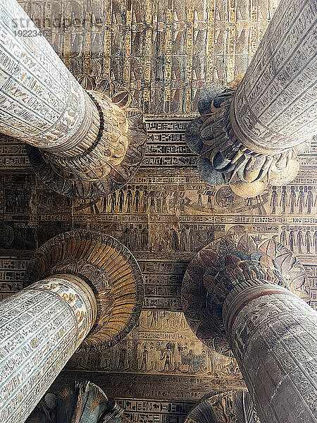Columns in the Temple of Hathor  which began construction in 54 B.C.E  part of the Dendera Temple complex  Dendera  Egypt  North Africa  Africa