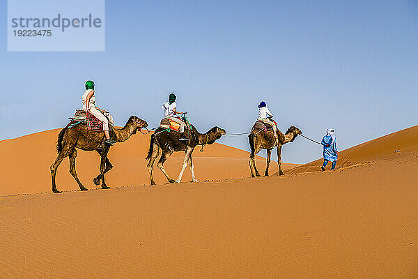 Family with one child enjoying a camel ride in the desert  Erg Chebbi  Merzouga  Sahara Desert  Morocco  North Africa  Africa