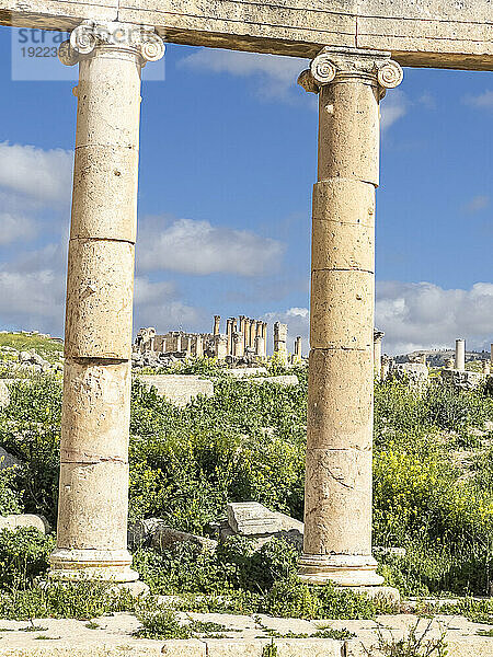 Säulen auf dem Oval Plaza in der antiken Stadt Jerash  die vermutlich 331 v. Chr. von Alexander dem Großen in Jerash  Jordanien  Naher Osten  gegründet wurde