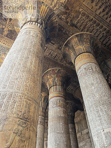Columns in the Temple of Hathor  which began construction in 54 BCE  part of the Dendera Temple complex  Dendera  Egypt  North Africa  Africa