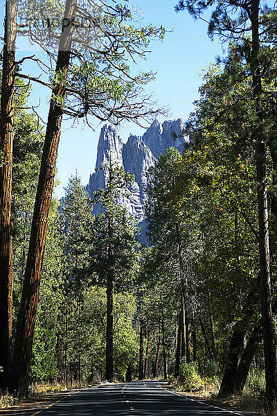 Yosemite-Nationalpark  UNESCO-Weltkulturerbe  Kalifornien  Vereinigte Staaten von Amerika  Nordamerika