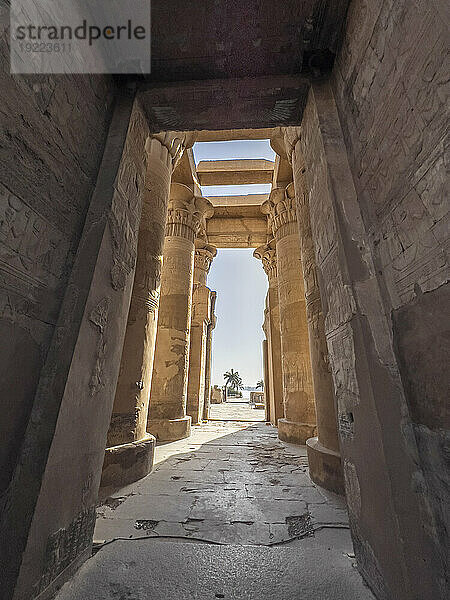 Der Tempel von Kom Ombo  erbaut während der Ptolemäer-Dynastie  180 v. Chr. bis 47 v. Chr.  Kom Ombo  Ägypten  Nordafrika  Afrika