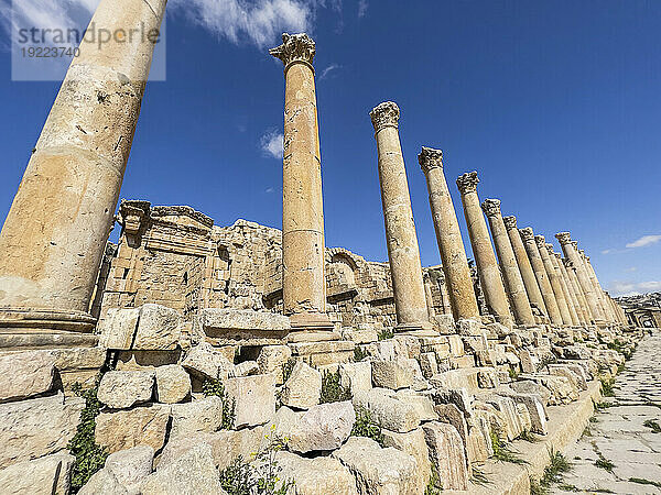 Säulen in der antiken Stadt Jerash  vermutlich 331 v. Chr. von Alexander dem Großen  Jerash  Jordanien  Naher Osten gegründet