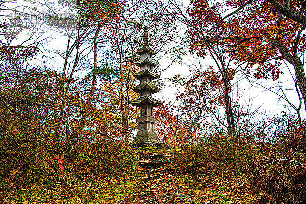 Stone pagoda in a colorful autumnal forest  Japan  Asia