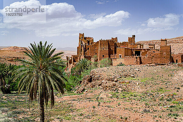 Alte Kasbah  umgeben von Palmen  Ounila-Tal  Atlasgebirge  Provinz Ouarzazate  Marokko  Nordafrika  Afrika