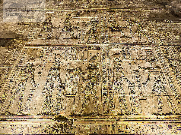 Innenansicht der Reliefs im Tempel der Hathor  Dendera-Tempelkomplex  Dendera  Ägypten  Nordafrika  Afrika