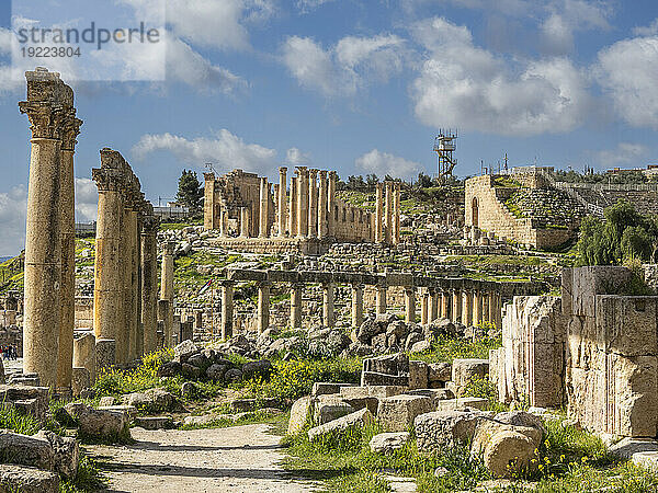 Säulen auf dem Oval Plaza in der antiken Stadt Jerash  die vermutlich 331 v. Chr. von Alexander dem Großen in Jerash  Jordanien  Naher Osten  gegründet wurde