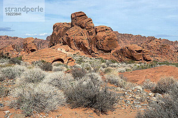 Valley of Fire  in der Nähe von Las Vegas  Nevada  Vereinigte Staaten von Amerika  Nordamerika