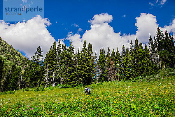 Wanderwege im Grand-Teton-Nationalpark  Wyoming  Vereinigte Staaten von Amerika  Nordamerika