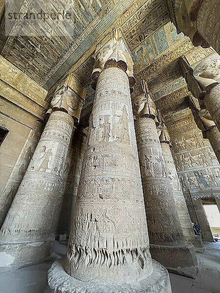 Columns inside the Hypostyle Hall  Temple of Hathor  Dendera Temple complex  Dendera  Egypt  North Africa  Africa