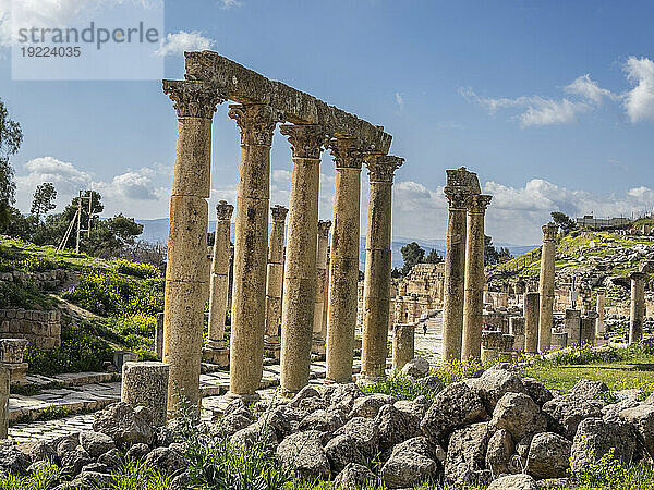 Säulen auf dem Oval Plaza in der antiken Stadt Jerash  die vermutlich 331 v. Chr. von Alexander dem Großen in Jerash  Jordanien  Naher Osten  gegründet wurde