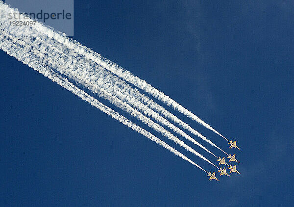 Die Thunderbirds  Feier zum 75. Jahrestag der Airborne Navy  Nellis Air Force Base  Las Vegas  Nevada  Vereinigte Staaten von Amerika  Nordamerika