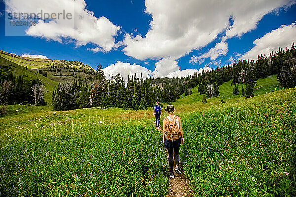 Wanderer auf den Wanderwegen des Grand-Teton-Nationalparks  Wyoming  Vereinigte Staaten von Amerika  Nordamerika