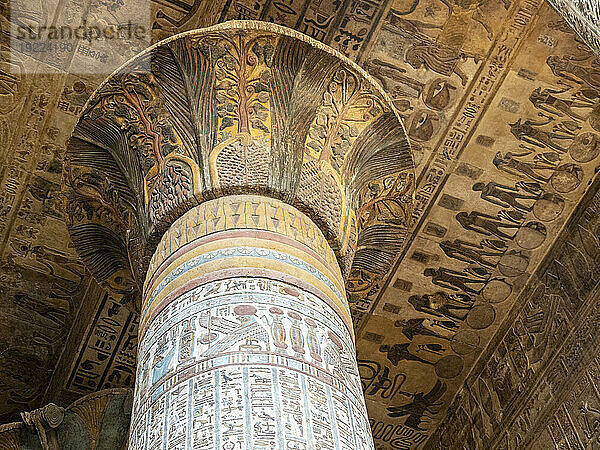 Säulen im Hathor-Tempel  dessen Bau 54 v. Chr. begann  Teil des Dendera-Tempelkomplexes  Dendera  Ägypten  Nordafrika  Afrika