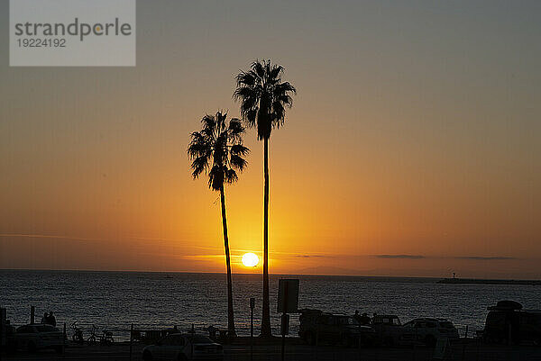 Sonnenuntergang über dem Meer und zwei Palmen in Silhouette  Dana Point  Kalifornien  Vereinigte Staaten von Amerika  Nordamerika