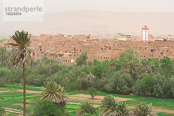 Alte Moschee in einer Kasbah  umrahmt von Palmenhainen  Dades  Atlasgebirge  Provinz Ouarzazate  Marokko  Nordafrika  Afrika