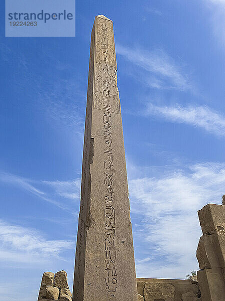 Obelisk of Thutmosis I  Karnak Temple Complex  comprises a vast mix of temples  pylons  and chapels  UNESCO World Heritage Site  near Luxor  Thebes  Egypt  North Africa  Africa