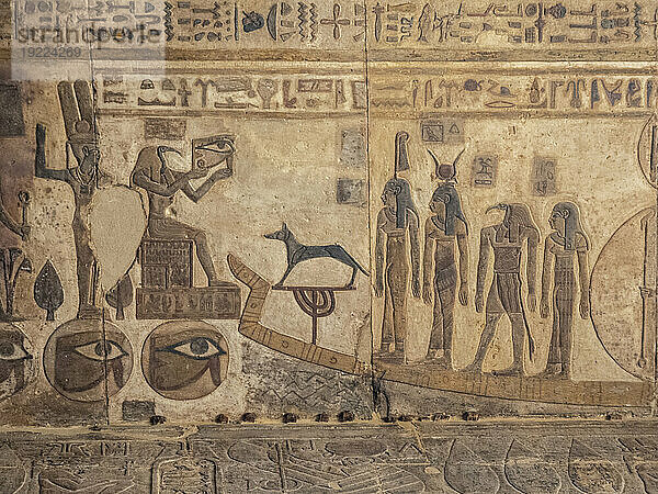 Relief in the Temple of Hathor  which began construction in 54 BCE  part of the Dendera Temple complex  Dendera  Egypt  North Africa  Africa