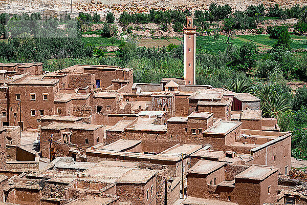 Ancient buildings of a Berber village framed by palm tree groves  Ounila Valley  Atlas mountains  Ouarzazate province  Morocco  North Africa  Africa