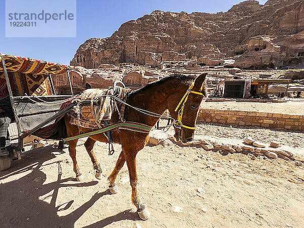Eselskarren  Archäologischer Park Petra  UNESCO-Weltkulturerbe  eines der neuen sieben Weltwunder  Petra  Jordanien  Naher Osten