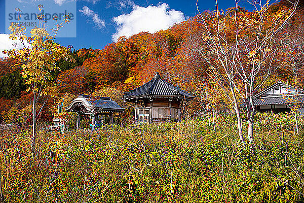 Wunderschöner japanischer Tempel  umgeben von goldenen und roten Herbstfarben  Osorezan Bodaiji-Tempel  Mutsu  Präfektur Aomori  Honshu  Japan  Asien