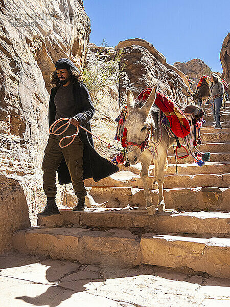 Esel auf dem Weg zum Petra-Kloster (Al Dayr)  Archäologischer Park Petra  UNESCO-Weltkulturerbe  eines der neuen sieben Weltwunder  Petra  Jordanien  Naher Osten