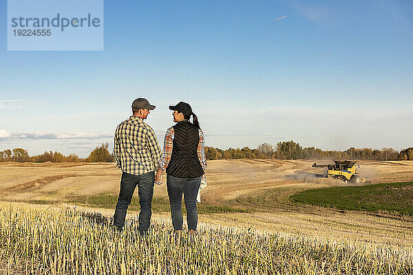 Eine Rückansicht eines Mannes und einer Frau  die Händchen haltend auf einem Feld stehen und eine schöne Zeit miteinander verbringen  während sie einem Mähdrescher zusehen  wie er seine Rapsernte im Herbst beendet; Alcomdale  Alberta  Kanada