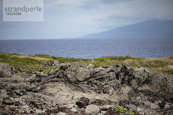 Nahaufnahme von Lavagestein entlang der Küstenstrandlandschaft in West Maui; Maui  Hawaii  Vereinigte Staaten von Amerika