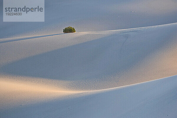 Mesquite Flat Sand Dunes im Death Valley National Park  Kalifornien  USA; Kalifornien  Vereinigte Staaten von Amerika