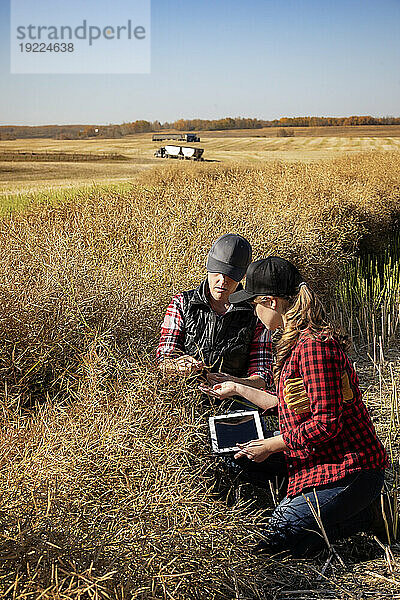 Eine Bäuerin sitzt auf den Feldern und bringt ihrem Lehrling moderne Anbautechniken für Rapspflanzen bei  die drahtlose Technologien und landwirtschaftliche Software nutzen. Alcomdale  Alberta  Kanada