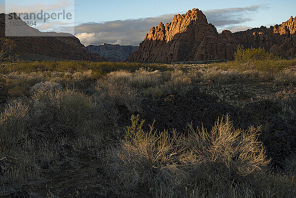 Wanderweg durch den Johnson Canyon  Teil des Snow Canyon State Park  hinter dem Red Mountain Spa rund um St. George Town mit trockenem Buschland und roten Klippen; St. George  Utah  Vereinigte Staaten von Amerika