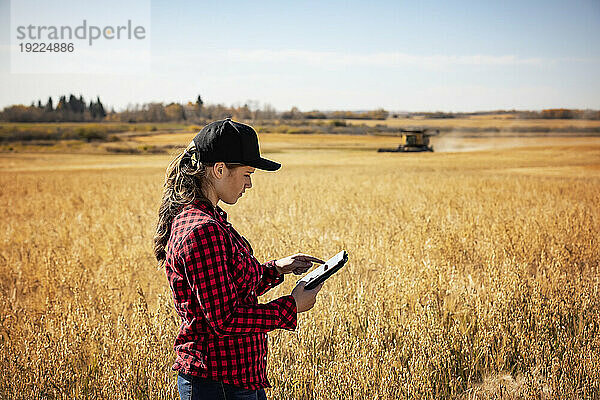 Eine junge Bäuerin steht zur Erntezeit auf einem Getreidefeld und nutzt fortschrittliche landwirtschaftliche Softwaretechnologien auf einem Pad  während im Hintergrund ein Mähdrescher arbeitet; Alcomdale  Alberta  Kanada