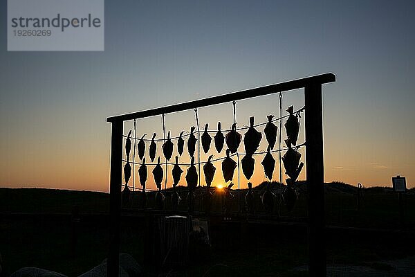 Silhouette eines zum Trocknen aufgehängten Fisches am Strand von Liseleje  Dänemark  Europa