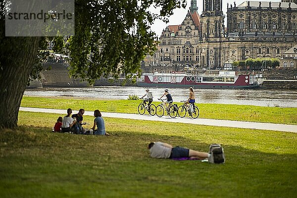 Neustädter Elbufer im Sommer