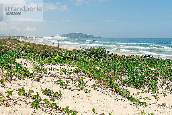 Schöne Landschaft am Strand von Campeche in Florianopolis  Santa Catarina  Brasilien. Eines der wichtigsten touristischen Ziele in der südlichen Region