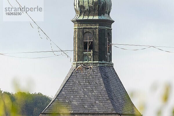 Highline- und Familienfest in Hohnstein Über den Dächern Hohnsteins und zwischen Sandsteinfelsen sind Highlines gespannt  über welche wagemutige Extremsportler balancieren