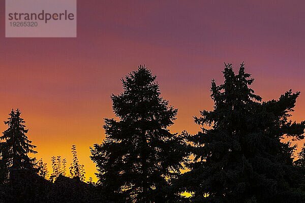 Der Herbst verzaubert mit farbigen Lichtspielen den Abendhimmel. im Osterzgebirge