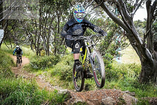 Downhill Mountainbike Fahrer versuchen die ABOM Strecke am 3. Januar 2016 in Mt Buller  Mt Buller  Australien  Ozeanien