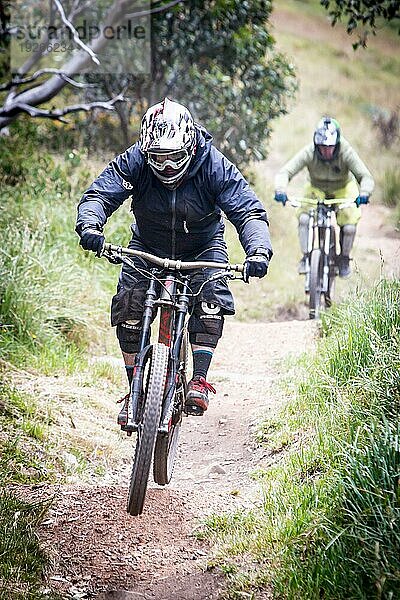 Downhill Mountainbike Fahrer versuchen die ABOM Strecke am 3. Januar 2016 in Mt Buller  Mt Buller  Australien  Ozeanien