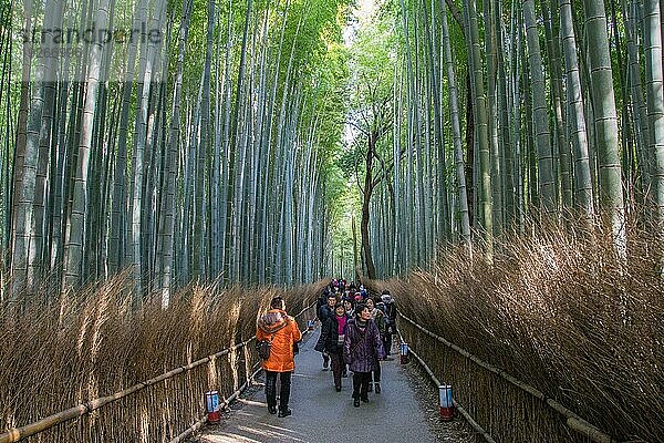 Kyoto  Japan  14. Dezember 2015: Menschen im berühmten Arashiyamabambushain  Asien