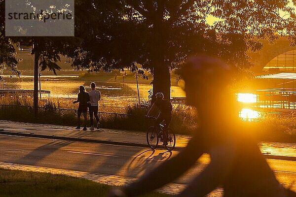 Radfahrer auf dem Elberadweg im Licht der untergehenden Sonne