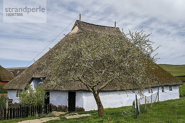 Das Pfarrwitwenhaus Groß Zicker ist ein denkmalgeschütztes Wohnhaus in Groß Zicker  einem zur Gemeinde Mönchgut gehörenden Dorf im Südosten der Insel Rügen. Es wurde 1719 20 gebaut und ist damit eines der ältesten Wohnhäuser Rügens